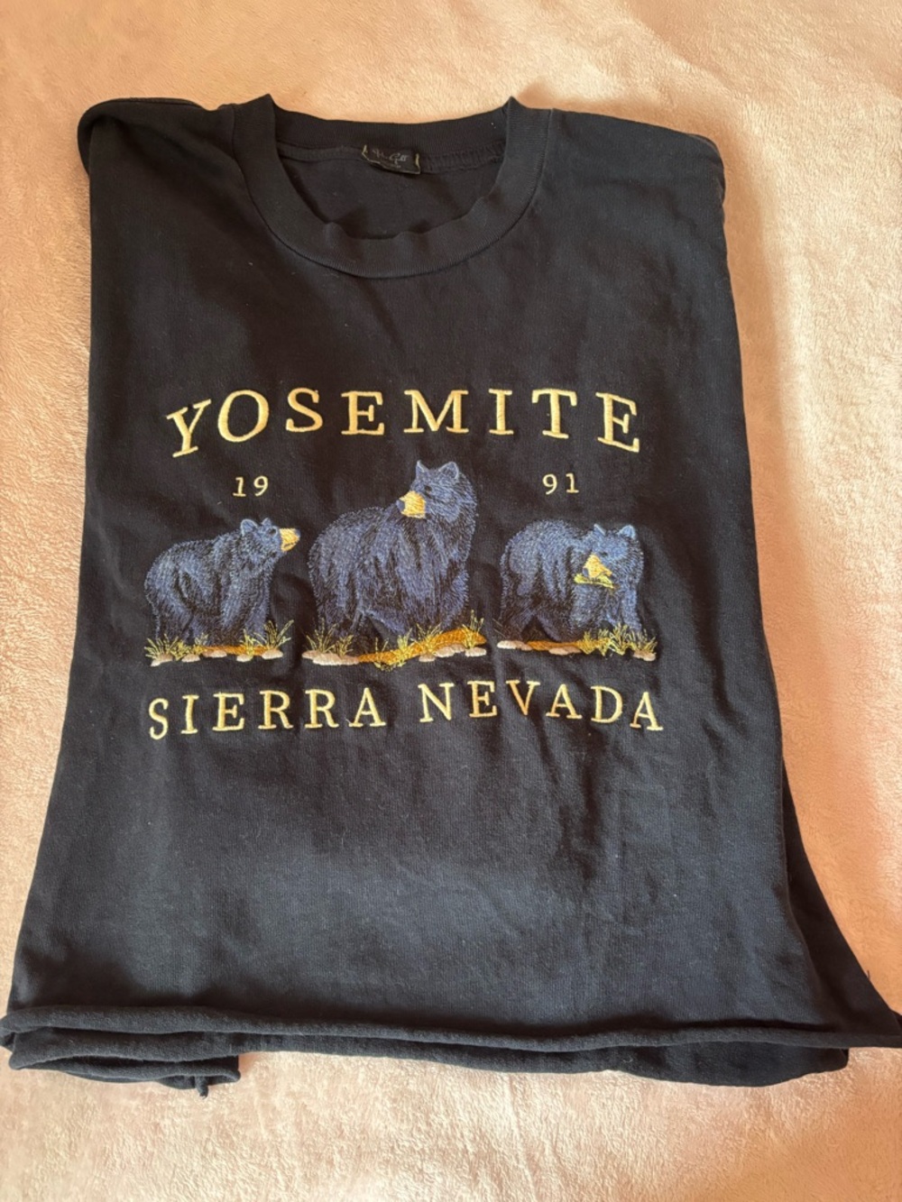 John Galt Brandy Melville Yosemite cropped sweatshirt